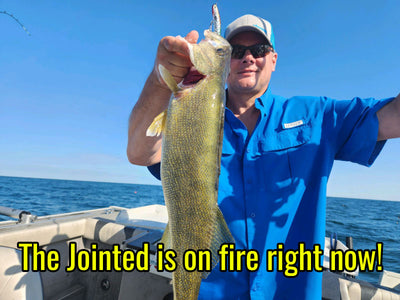 Reno Rocker 4" Jointed 9 Pack