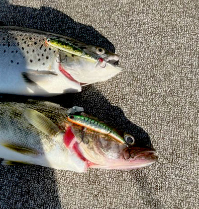 Reno Rocker 4" Jointed 9 Pack