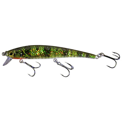 Perch Shallow Diver Live Bait Series