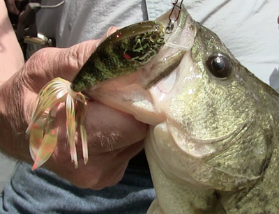 Monster Big Fish Kit