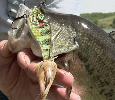 Monster Big Fish Kit