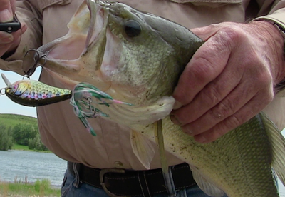 Monster Big Fish Kit