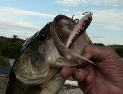 Monster Big Fish Kit