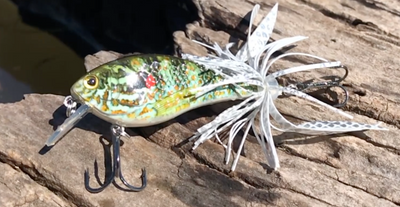Monster Big Fish Kit