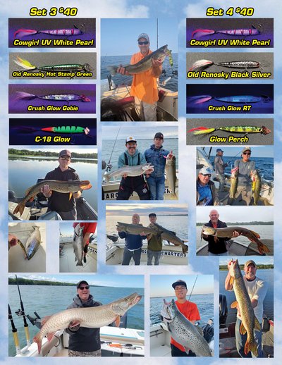 Reno Rocker 7" Big Fish Series