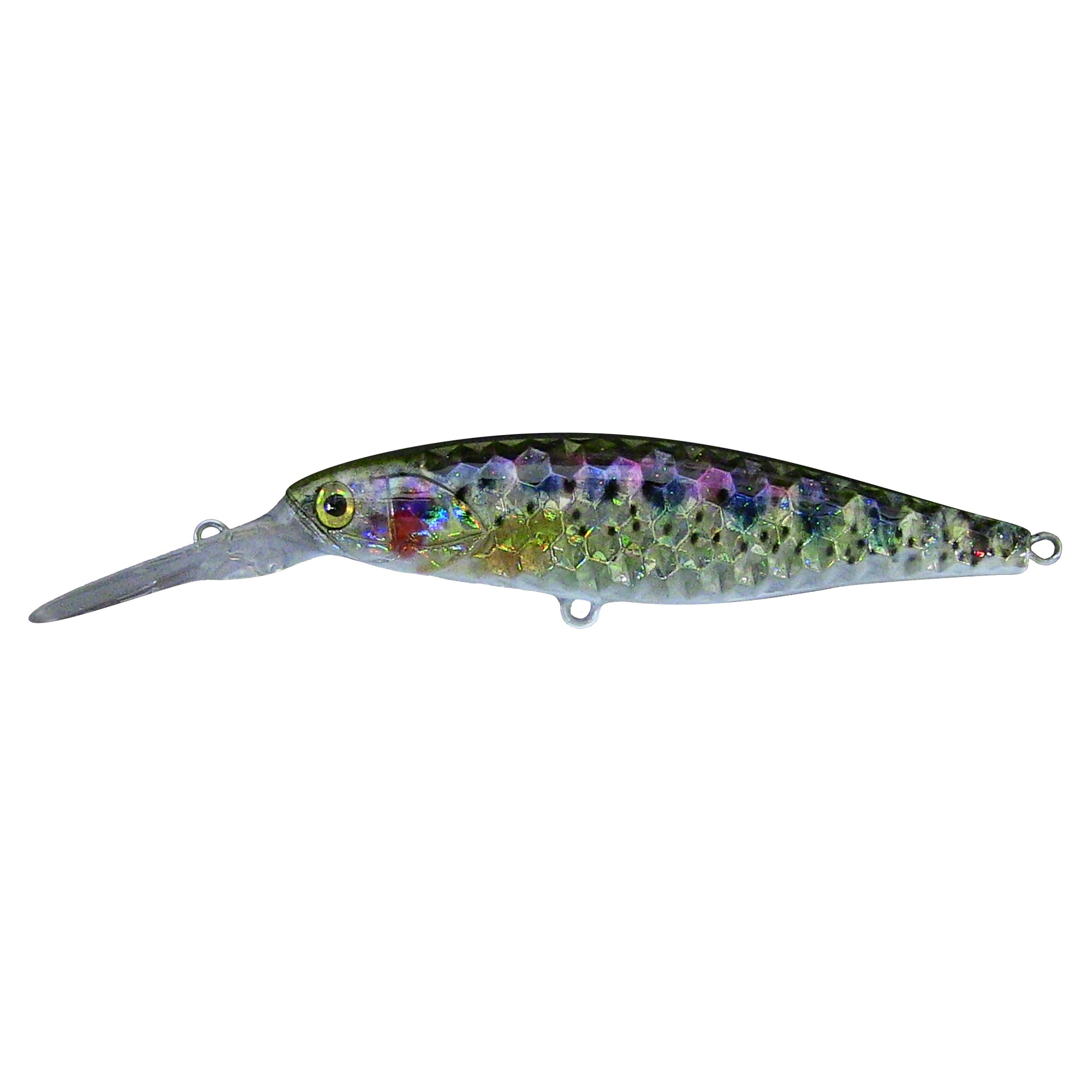 Baby Rainbow Trout Deep Diver Live Bait Series Baby Rainbow Trout Deep Diver Live Bait Series