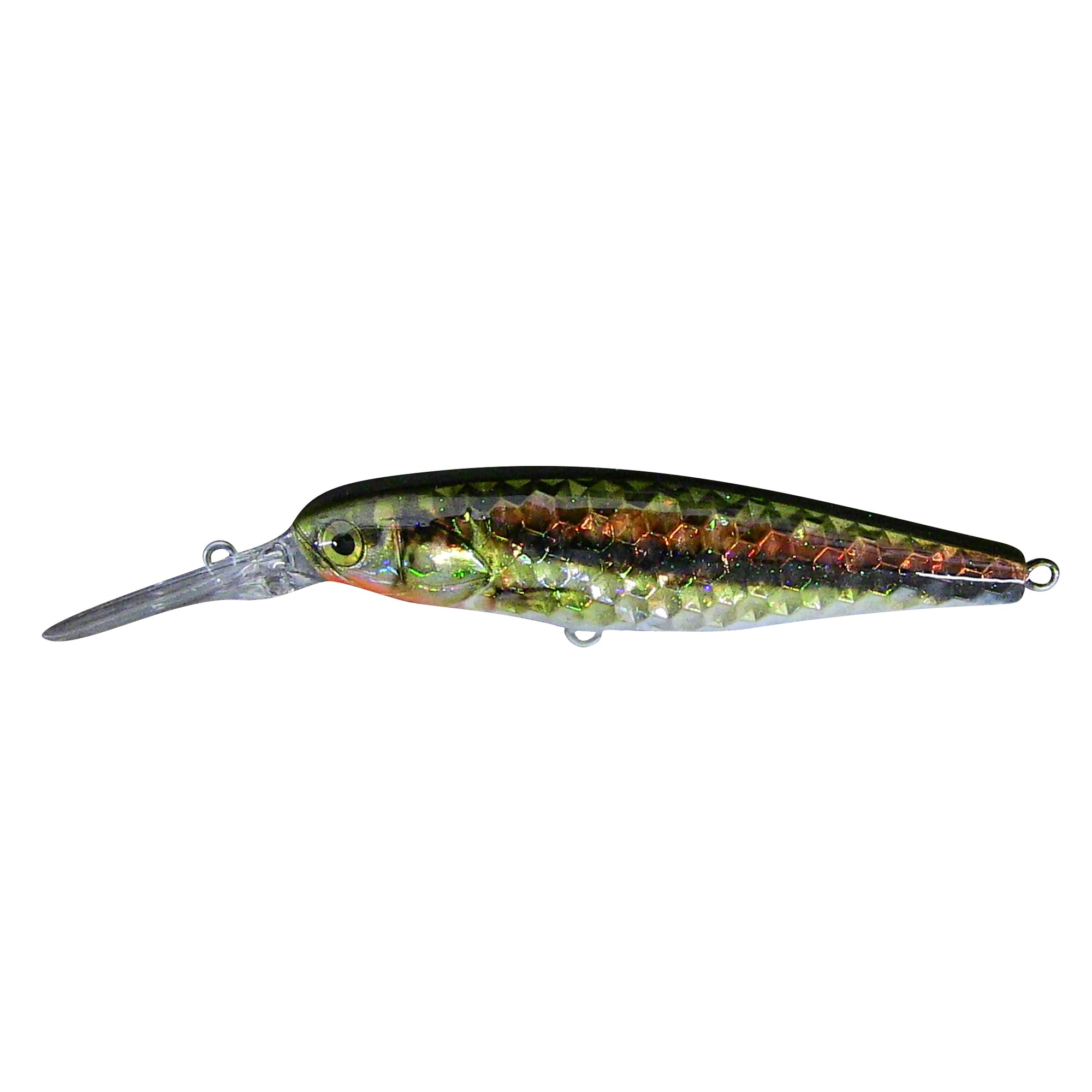 dd fishing lure Dace Deep Diver Live Bait Series