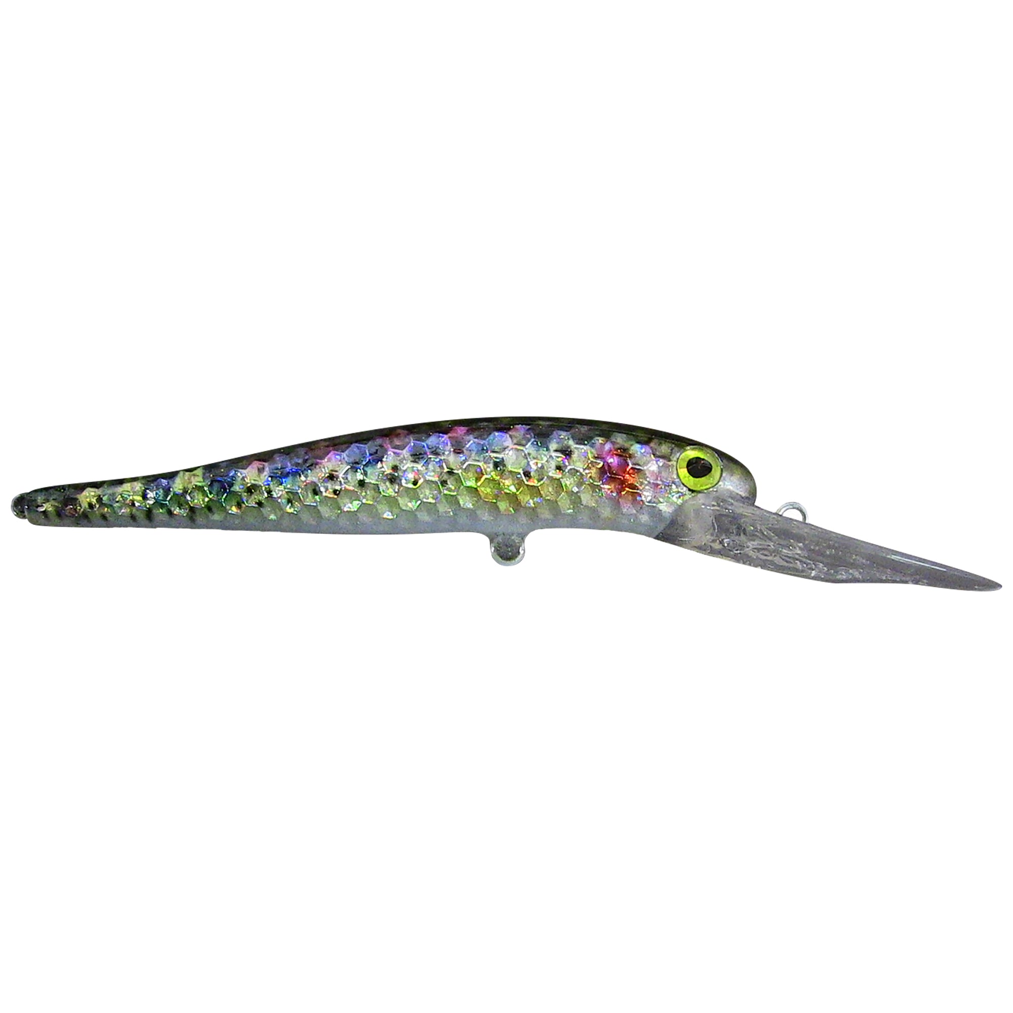 Baby Rainbow Trout Deep Diver Live Bait Series Baby Rainbow Trout Deep Diver Live Bait Series