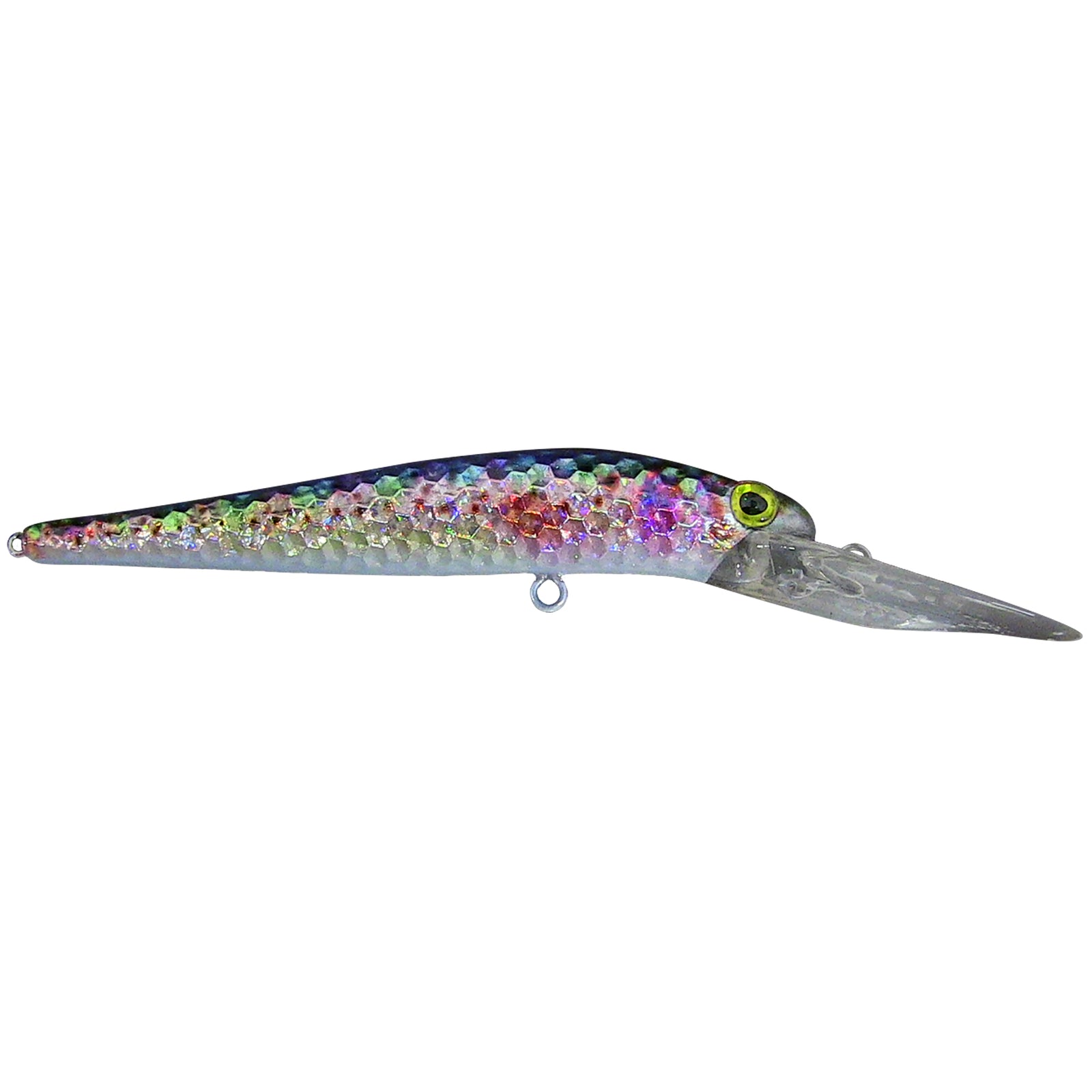 Blue Rainbow Trout Deep Diver Live Bait Series