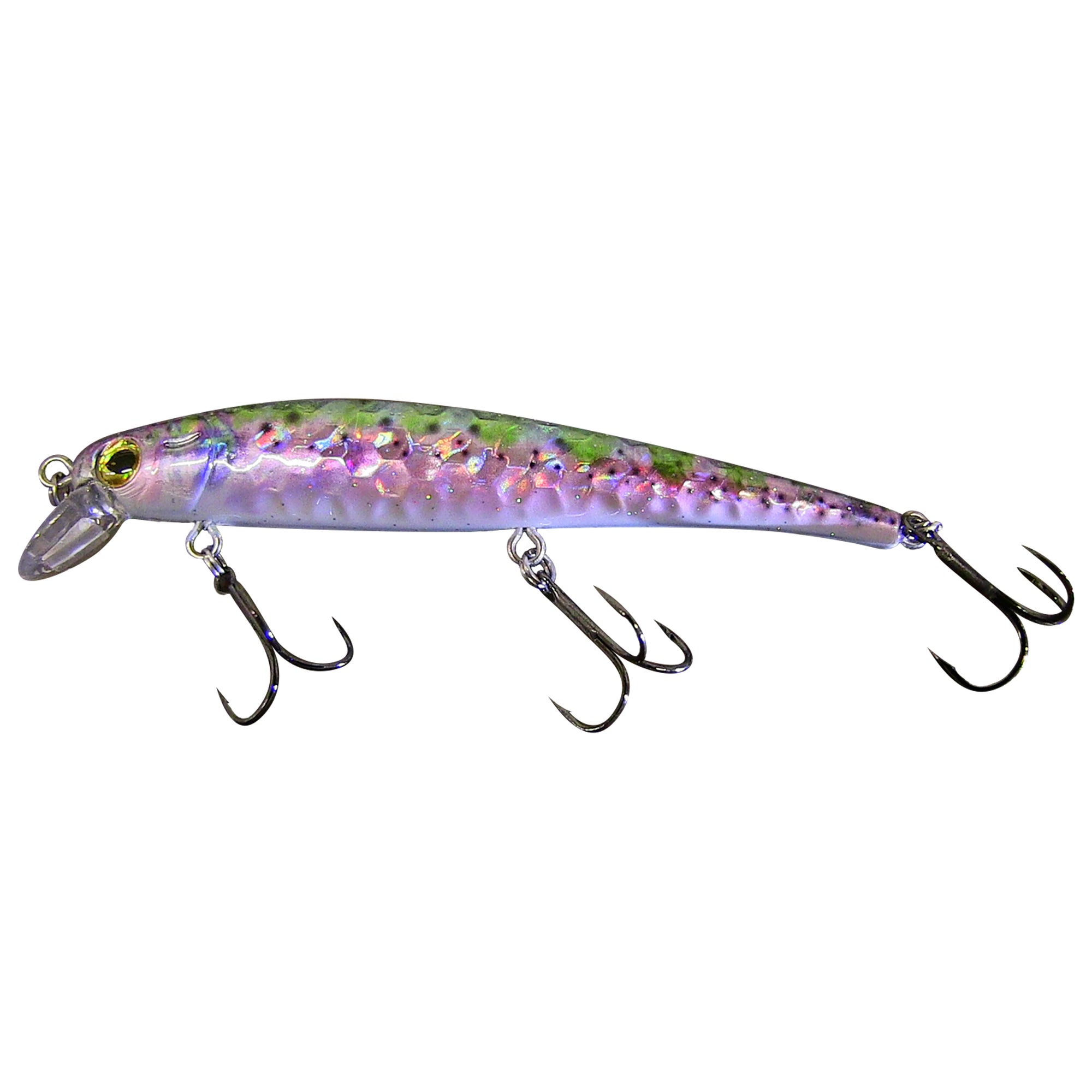 Blue Rainbow Trout Shallow Diver Live Bait Series Blue Rainbow Trout Shallow Diver Live Bait Series