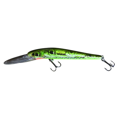 Green White Belly Dace 5" HD Schooling Eyes Diver