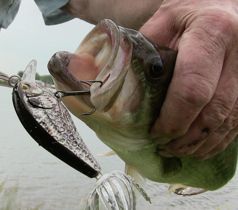 big fish custom lures Monster Big Fish Kit