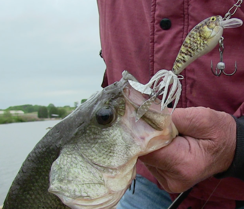 big one fishing lures Monster Big Fish Kit