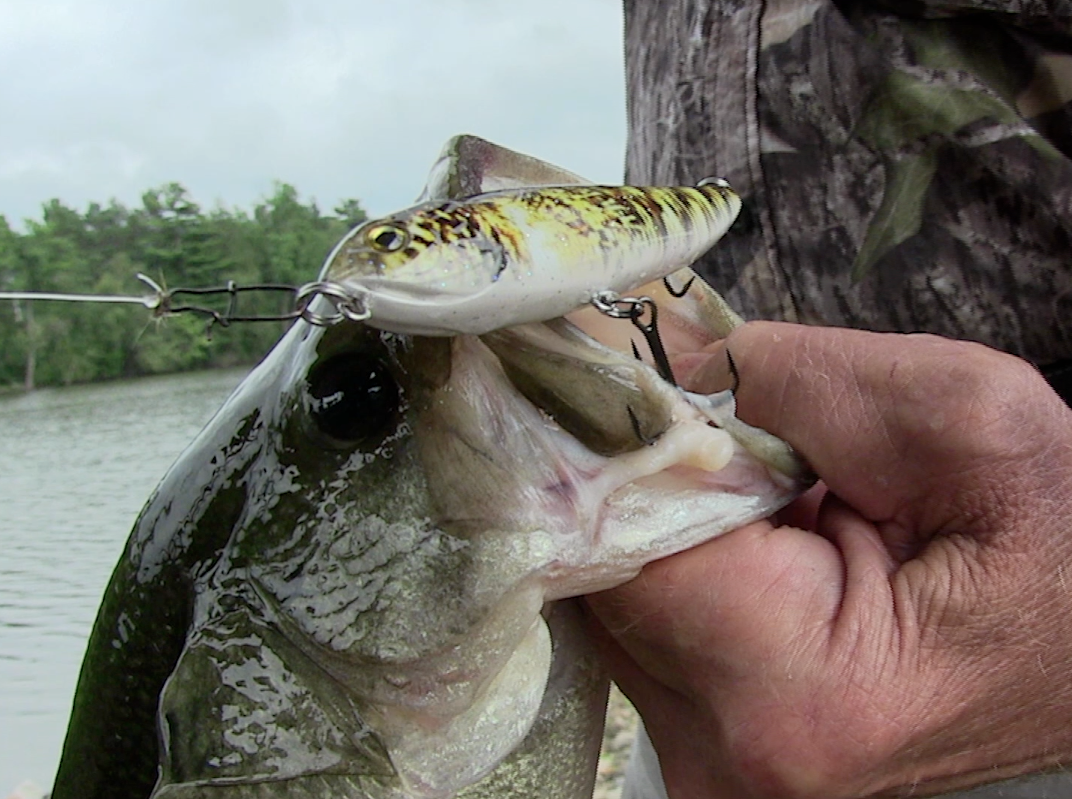 big fishing lures Monster Big Fish Kit